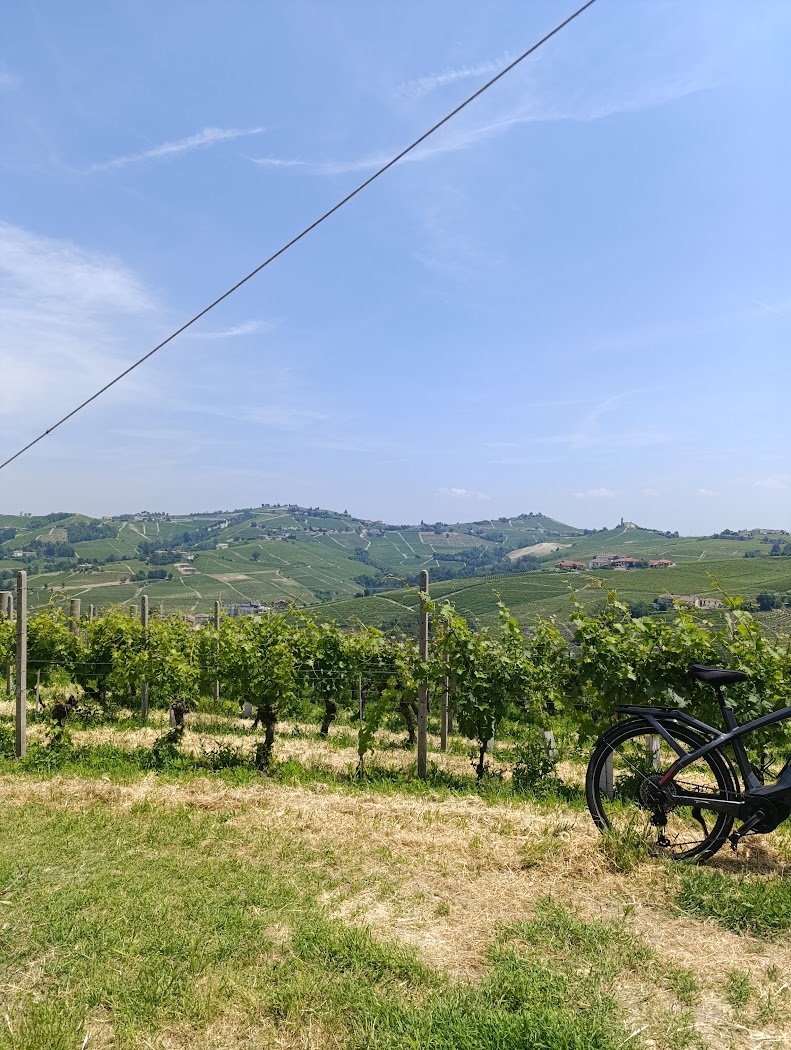 Langhe, fotografia 3
